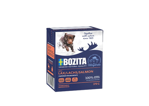 Bozita koeratoit Salmon 12x370g