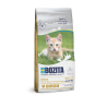 Bozita Kitten Grain Free kassitoit 2kg