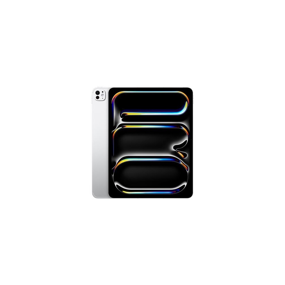 iPad Pro 13 M4 5G 512GB gloss, hõbedane
