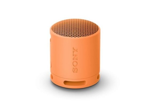 Kaasaskantav kõlar Sony, IP67, BT,, USB-C,
