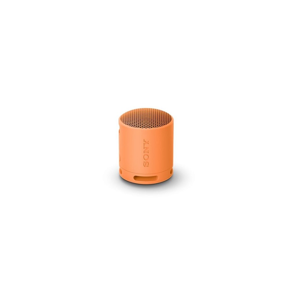 Kaasaskantav kõlar Sony, IP67, BT,, USB-C,