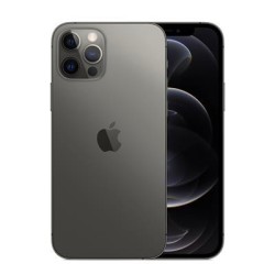 Uuskasutatud Apple iPhone 12 Pro 128GB, hall