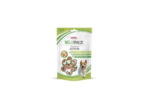 Record Weli Salmon maius koerale 75g