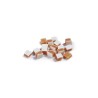 Record Weli Salmon maius koerale 75g