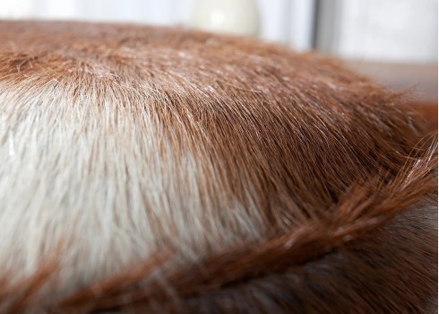 Tumba HIDE pruun, D30xH45 cm