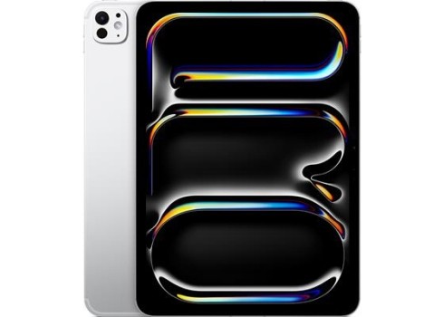 iPad Pro 11 M5 WiFi + Cellular 256GB läikiv, hõbedane