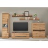 Tv-alus CITY tamm / antratsiit, 140x45xH42 cm