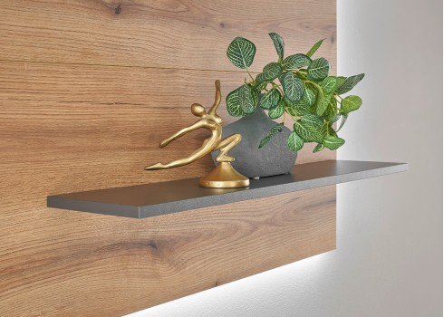 Seinariiul CITY tamm / antratsiit, 150x21xH80 cm