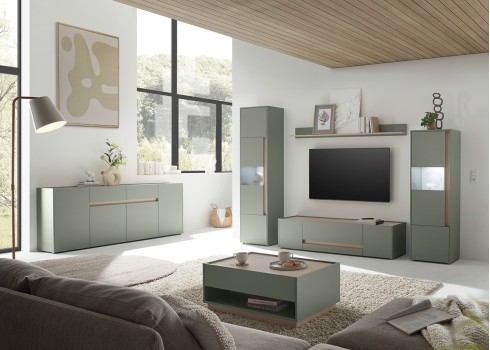 Tv-alus CITY roheline / tamm, 170x45xH42 cm