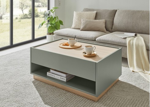 Diivanilaud CITY roheline / tamm, 90x60xH38 cm