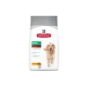 Hill´s koeratoit Adult Perfect Weigh Large Breed 12kg