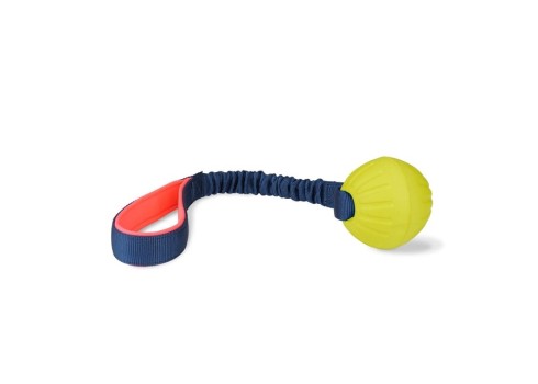 Company of Animals Coachi Tuggi pall koerale