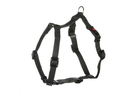 Flamingo koera H-traksid Ziggi L, tumehall