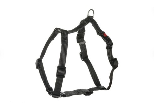 Flamingo koera H-traksid Ziggi M, tumehall