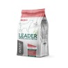 Leader Sensitive kuivtoit suurt tõugu koertele lõhega, 2 kg