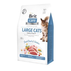 Brit Care Cat Grain-Free Large Cats Power Vitality kassitoit 0,4 kg