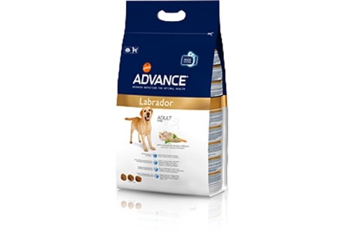Advance koeratoit Labrador Retriver 12kg