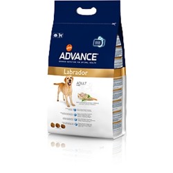 Advance koeratoit Labrador Retriver 12kg