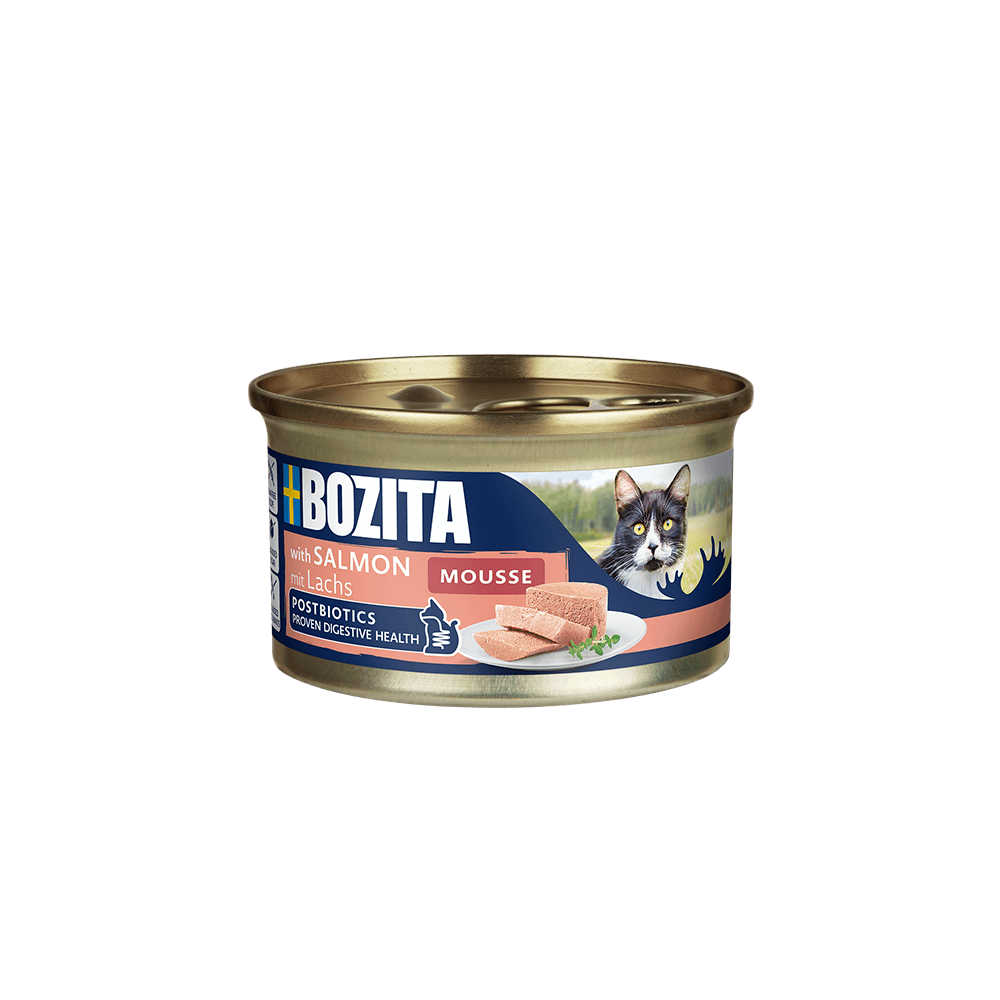 Bozita Mousse with MSC Salmon kassi täissööt 12x85g