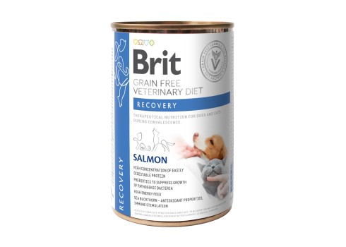 Brit Veterinary Diet Recovery konserv koertele ja kassidele 400g