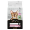 Purina Pro Plan kassitoit Delicate lambaga, 1,5kg