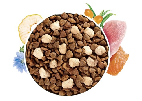 Brit Care Grain-Free Haircare with Raw Delights kassitoit 2 kg