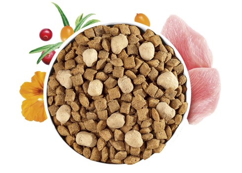 Brit Care Grain-Free Sterilized with Raw Delights kassitoit 2 kg