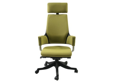 Töötool DELPHI oliiviroheline