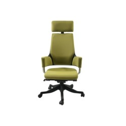 Töötool DELPHI oliiviroheline