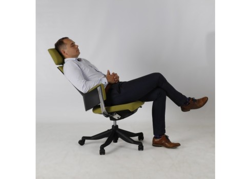 Töötool DELPHI oliiviroheline