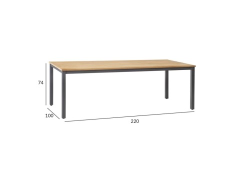 Laud MONTANA 220x100xH76cm, tiik