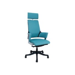 Töötool DELPHI sinakasroheline