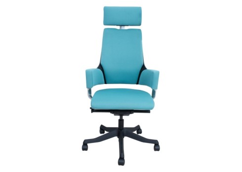 Töötool DELPHI sinakasroheline