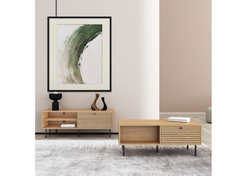 TV-laud LINE 120x40xH50cm, tammedekooriga