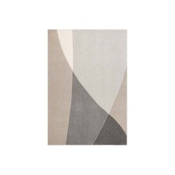 Vaip DIXIE CARVED-4, 100x150cm, hall-beež