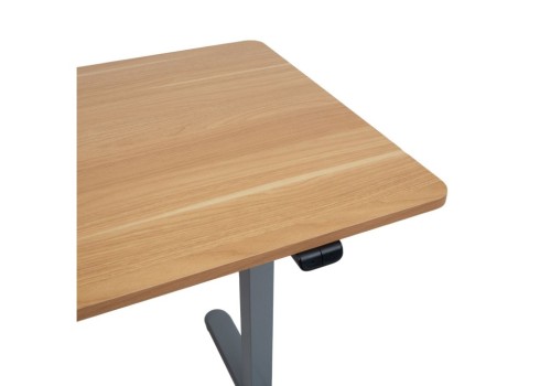 Töölaud ERGO LIGHT 1-mootoriga 120x60xH73-118cm, tamm/hõbehall