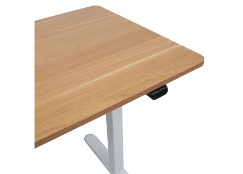 Töölaud ERGO LIGHT 1-mootoriga 120x60xH73-118cm, tamm/valge