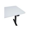 Töölaud ERGO LIGHT 1-mootoriga 120x60xH73-118cm, valge/must