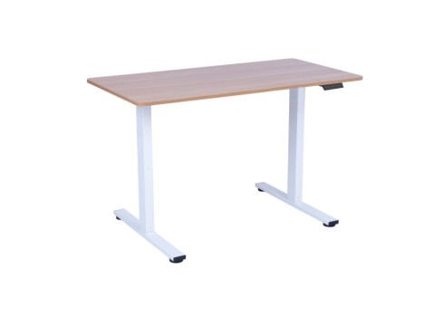 Töölaud ERGO FIT 1-mootoriga 120x60xH71,5-116cm, tamm/valge