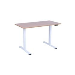 Töölaud ERGO FIT 1-mootoriga 120x60xH71,5-116cm, tamm/valge