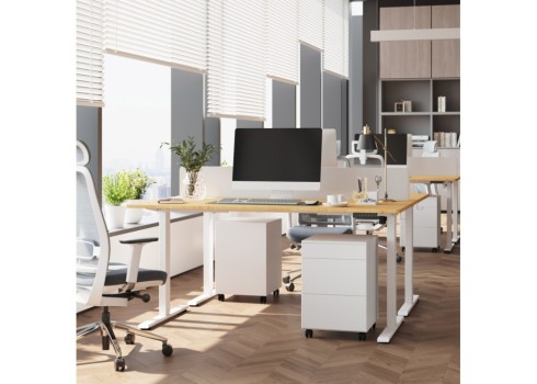 Töölaud ERGO FIT 1-mootoriga 120x60xH71,5-116cm, valge