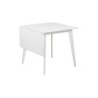 Söögilaud ROXBY 80-120x80xH76cm, valge
