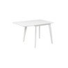 Söögilaud ROXBY 80-120x80xH76cm, valge