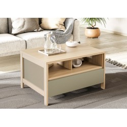 Diivanilaud STRANDA hallikasroheline / tamm, mööbel, elutoamööbel