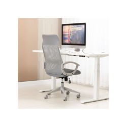 Töötool LINUS hall