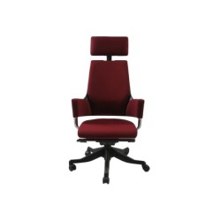 Töötool DELPHI tumepunane