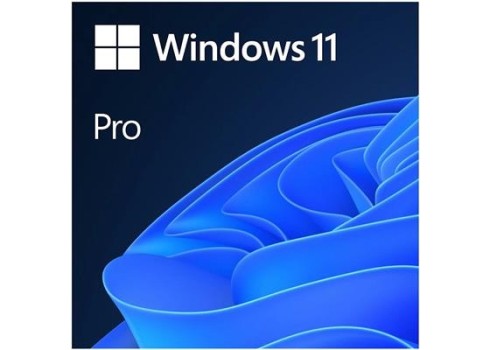 MS Windows 11 Pro 32-64bit DVD ENG