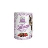 Brit Care SuperFruits Salmon kassimaius lõhega 100g