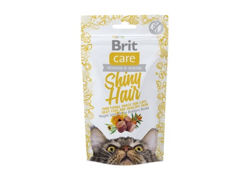 Brit Care Shiny Hair maiused kassile 50g
