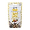 Brit Care Shiny Hair maiused kassile 50g